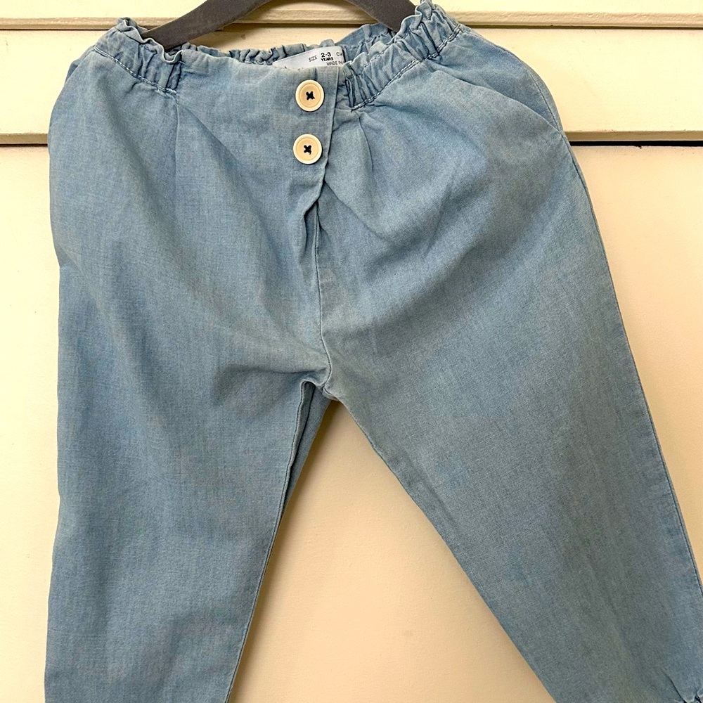 Zara pants